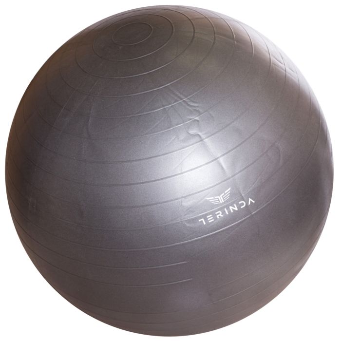 Terinda YOGA BALL, lopta za gimnastiku, siva