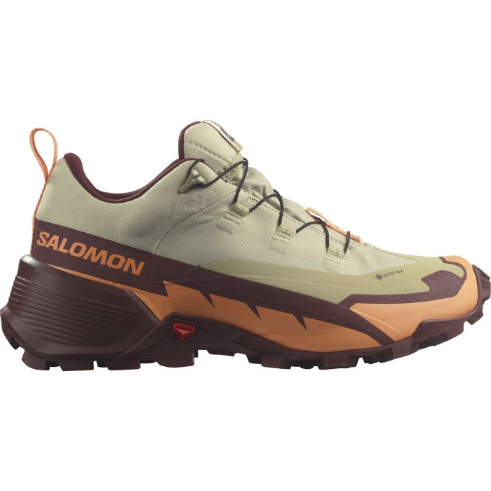 Intersport clearance salomon gtx