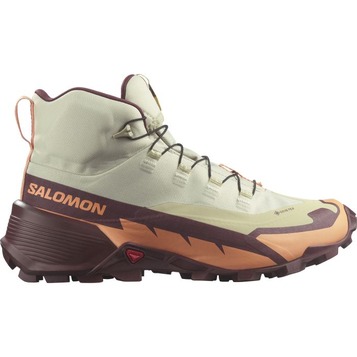 Salomon sales gtx intersport