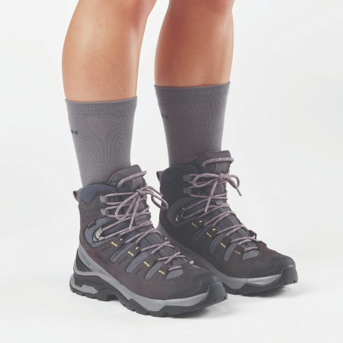 Salomon QUEST 5 GTX W, ženske cipele za planinarenje, siva