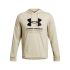Under Armour RIVAL TERRY GRAPHIC HOOD, muški pulover, smeđa