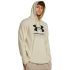 Under Armour RIVAL TERRY GRAPHIC HOOD, muški pulover, smeđa