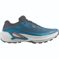 Salomon GENESIS 2 GTX, muške patike za trail trčanje, plava