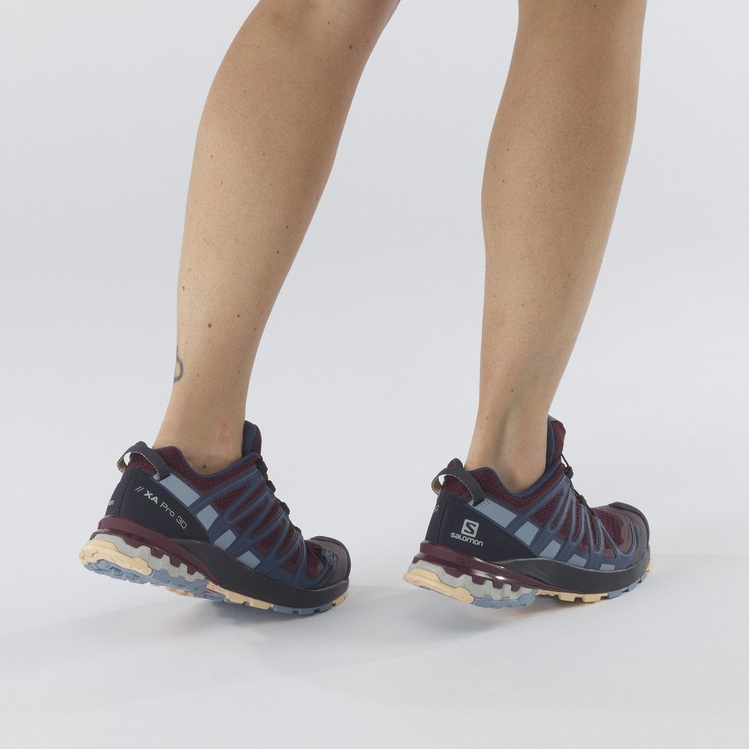 Intersport salomon discount xa pro 3d