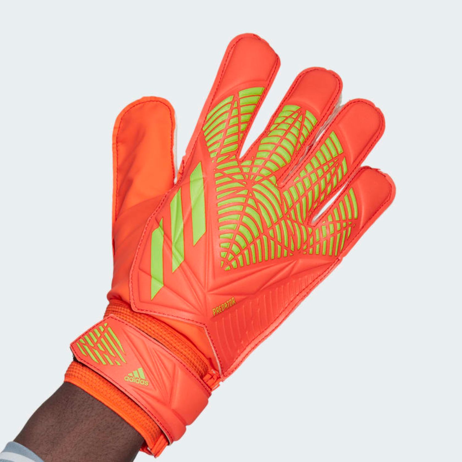 Intersport goalkeeper gloves 2025