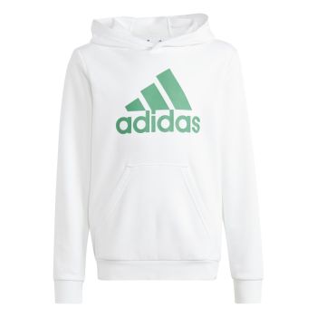 Adidas hot sale hoodie intersport