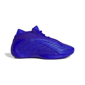 Adidas ANTHONY EDWARDS 2 J, dječije patike za košarku, plava