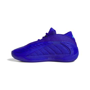 Adidas ANTHONY EDWARDS 2 J, dječije patike za košarku, plava