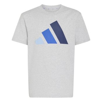 Adidas J BL TEE 160, dječija majica, siva