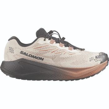 Salomon AERO BLAZE 4 GRVL GTX, muške patike za gravel trčanje, bež