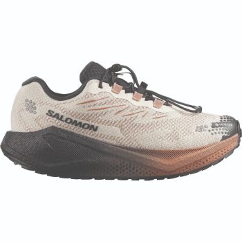 Salomon AERO BLAZE 4 GRVL GTX W, ženske patike za gravel trčanje, bež
