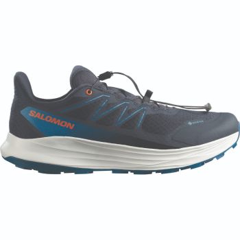 Salomon ALPHARIDE 2 GTX, muške patike za trail trčanje, siva