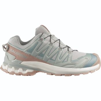 Salomon XA PRO 3D V9 GTX LIFELONG W, ženske patike za trail trčanje, siva