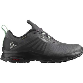 Salomon X-RENDER GTX W, planinarske cipele, siva