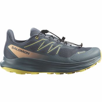 Salomon ALPHARIDE 2 GTX W, ženske patike za trail trčanje, siva