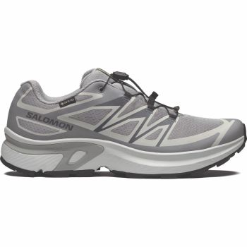 Salomon XT-EVR GTX, muške patike za slobodno vrijeme, siva