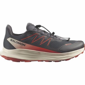 Salomon ALPHARIDE 2 GTX, muške patike za trail trčanje, siva